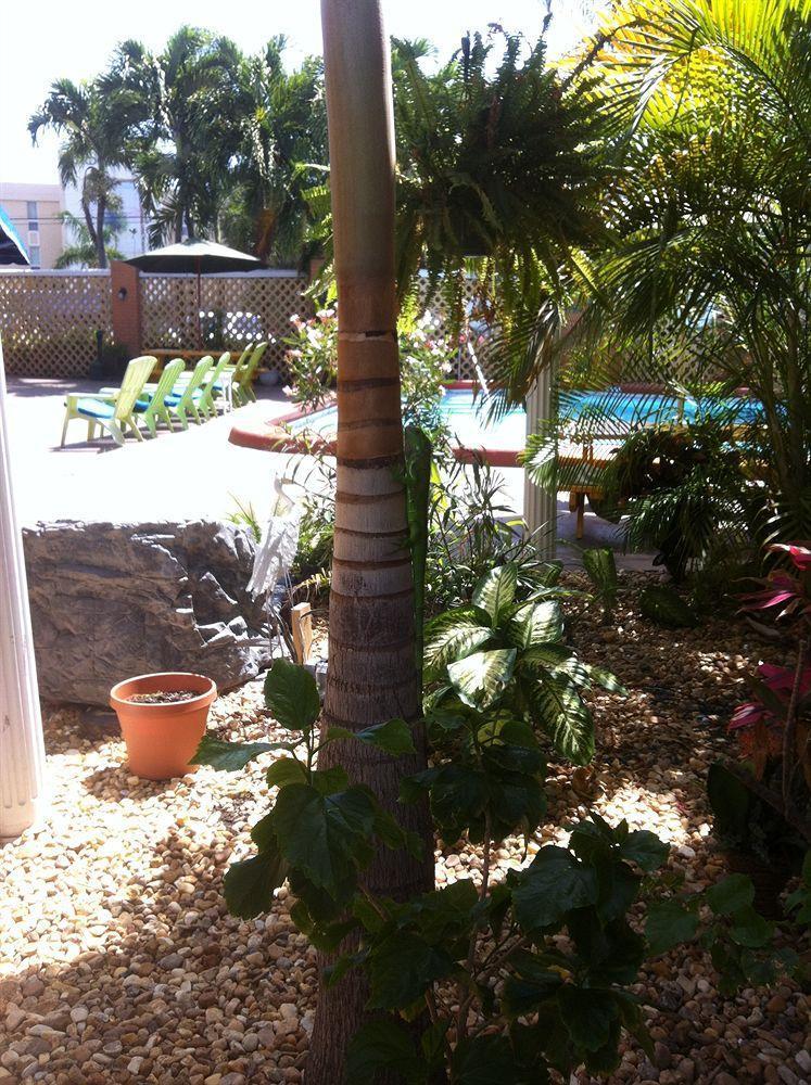 The Bridge At Cordova Boutique Hotel And Hostel Fort Lauderdale Exteriör bild